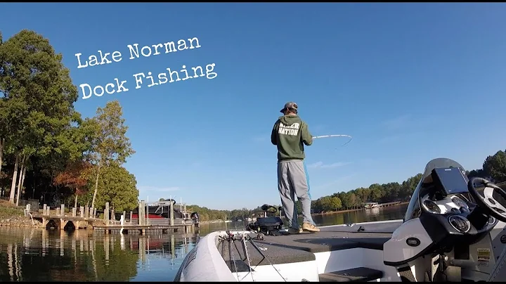Lake Norman Dock Fishing