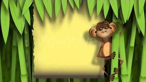 After Effects project - Monkey In The Jungle