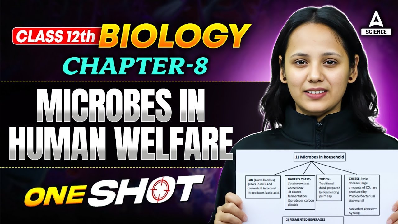 Class 12th Biology Chapter 8 Microbes in Human Welfare in One Shot ...