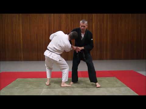 Ju-Jutsu Master-Serie 131: Kipphandhebel bei gegenüberliegend gefasstem  Handgelenk