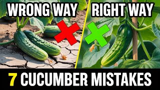 7 Cucumber Mistakes That Kill Your Harvest (And How to Fix Them!)