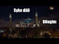 Syke dali - Dilegim (Aýdym sözleri)