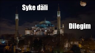 Syke dali - Dilegim (Aýdym sözleri)