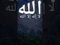 الله لا إله إلا الله لا شريك له الملك القدوس العزيز الحكيم فاطر السموات والأرض رب العالمين 