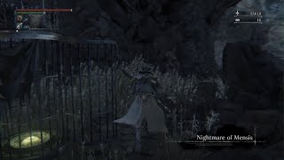 Bloodborne - Fast/Easy Blood Echoes (24k/min)