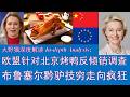 野猫论政 2993：欧盟针对中国“北京烤鸭”反倾销调查，布鲁塞尔黔驴技穷走向疯狂