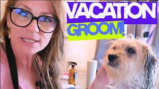 Grooming My Sister's Dog On Vacation - Dog Grooming Tips and Tricks