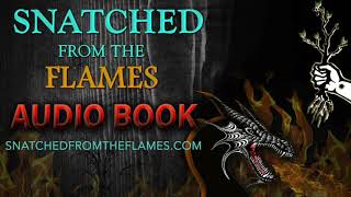 Audio BOOK: Chapter 19 The Pen or The Sword