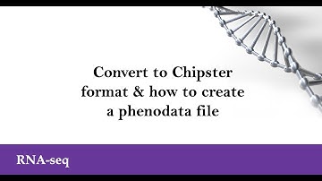 Convert to Chipster format and how to create a phenodata file