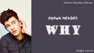 Shawn Mendes - Why (Lyrics video)
