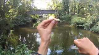 Miniature de la vidéo Pêche au leurre Chubby Minnow 35