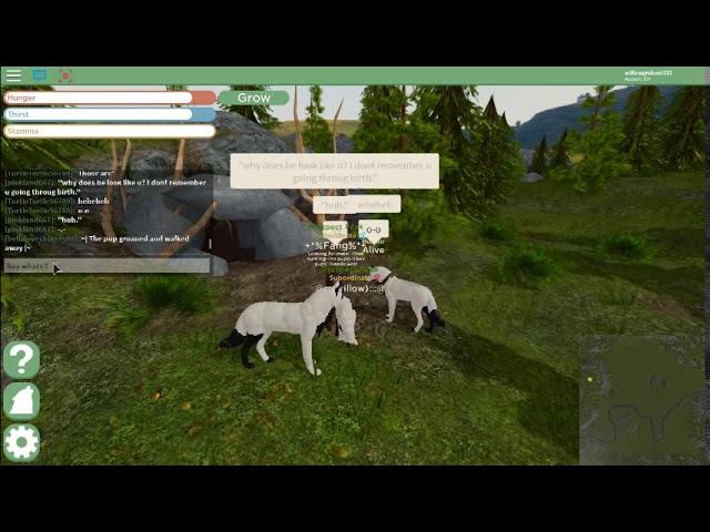 Playing As A Pup On Yellowstone I Got Pup Invited Youtube - roblox yellowstone early access
