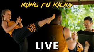 Download Lagu Kung Fu Kicking MP3 Download Lagu Kung Fu Kicking MP3