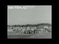 1979г. с.Никулино колхоз Сибирь Татарский район Новосибирская обл