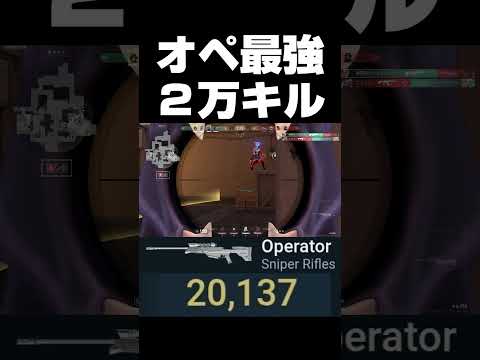 #VALORANT #ヴァロラント