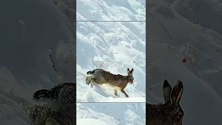 Kponuk Aaxe He 3Han, 4To A Ctoan Bnepegn, N A Ycnewho Ero Nogctpenun