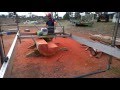 Lucas Mill job at Inman Valley - Part 1, Cutting 6x6 Strainer Posts