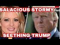 Stormy shares too much about trump tryst  judge in documents case hits the brakes for trump  5824