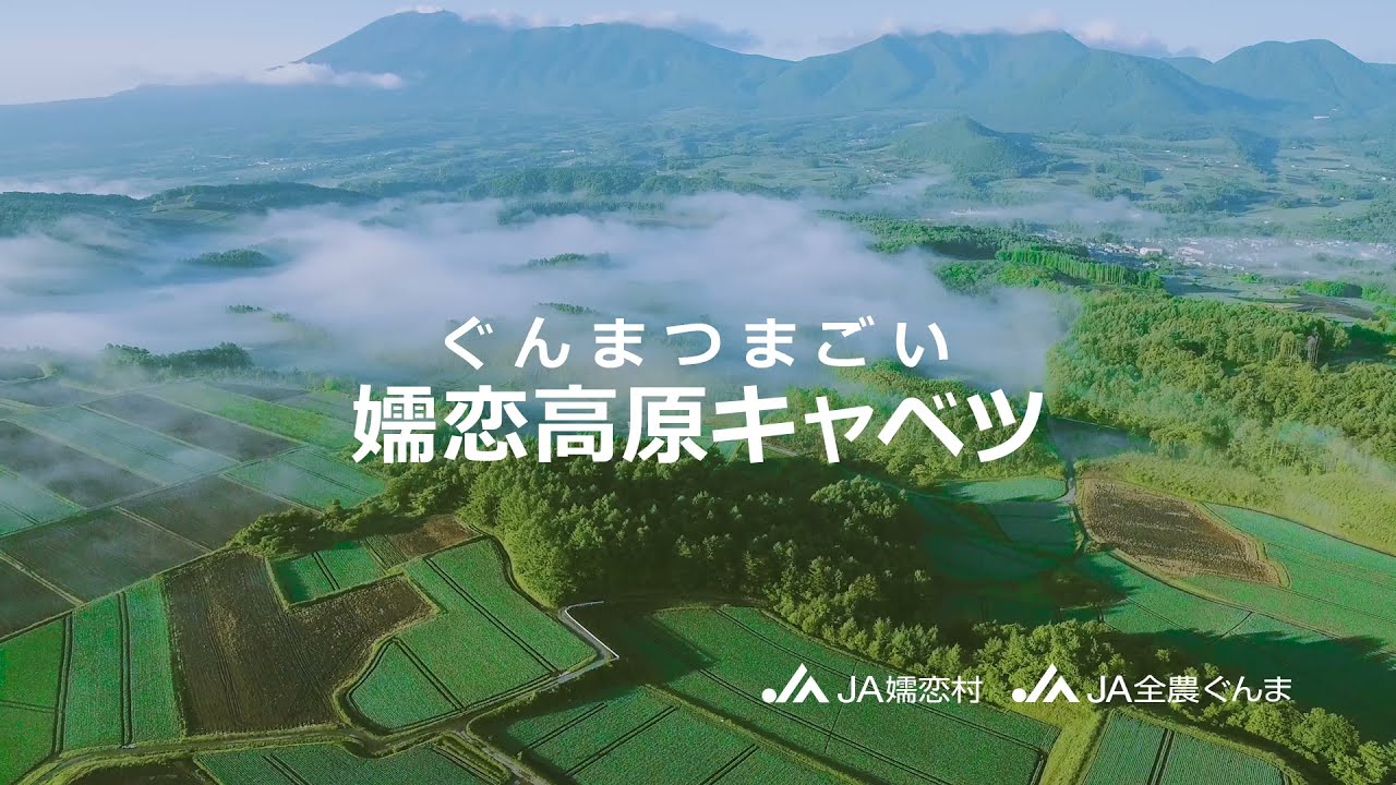 21嬬恋高原キャベツｃｍ 名所篇 Youtube