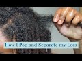 How to Separate and POP my Locs; THE SAFE WAY