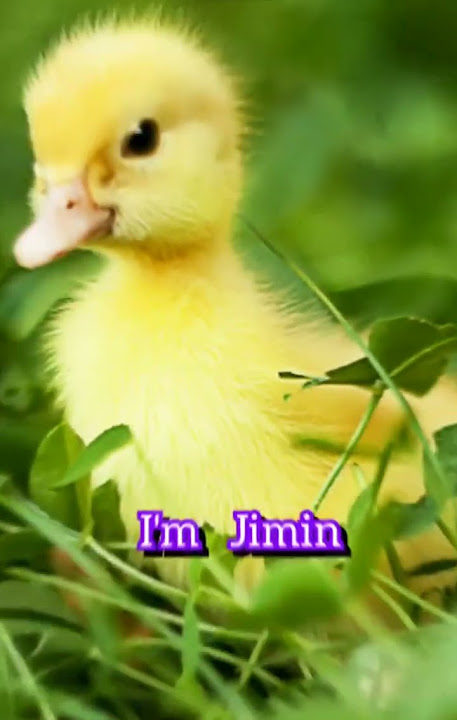 BTS introduce themselve as animals character #shorts #bts #kpop #funny #animals