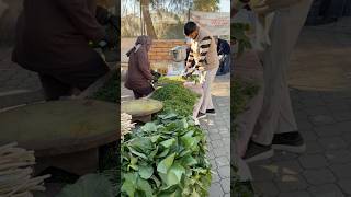 Zehirli Bitkiden Gelen Şifa “Ti̇rşi̇k” Şik