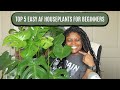 My Top 5 Easiest Houseplants For Beginners