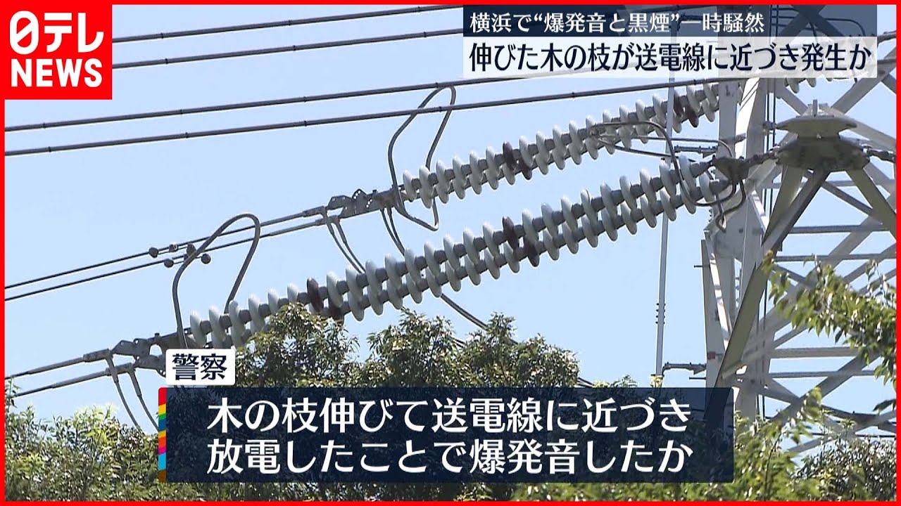 横浜で 爆発音 通報相次ぐ 伸びた木の枝が送電線に近づき発生か Youtube 横浜で 爆発音 通報相次ぐ 伸びた木の枝が送電線に近づき発生か Youtube