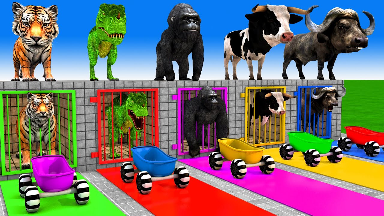 Long Slide Game With Cow Elephant Gorilla Hippopotamus Tiger 3d Animal Game Funny 3d Animals