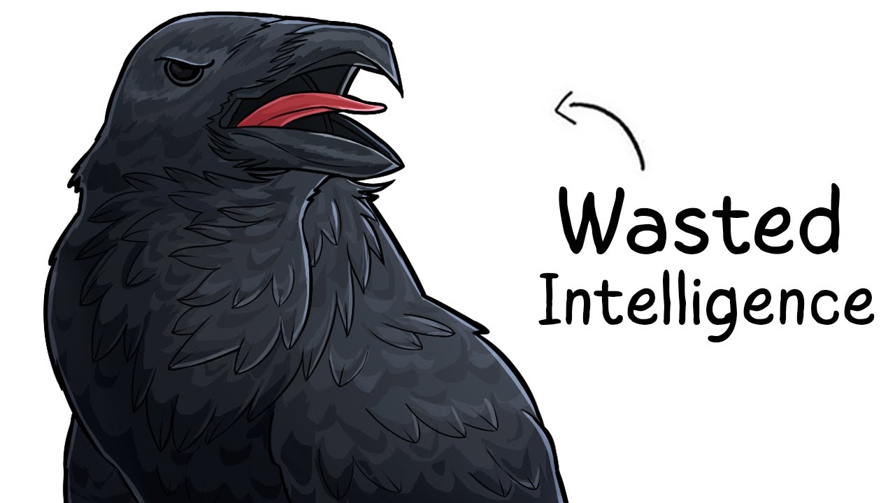 Why it Sucks To Be Born As a Raven