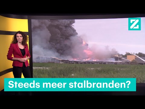Horrorzomer: waarom zijn