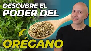 ESTO PASA CUANDO CONSUMES ORÉGANO EN TU CUERPO | INCREÍBLES BENEFICIOS DEL ORÉGANO