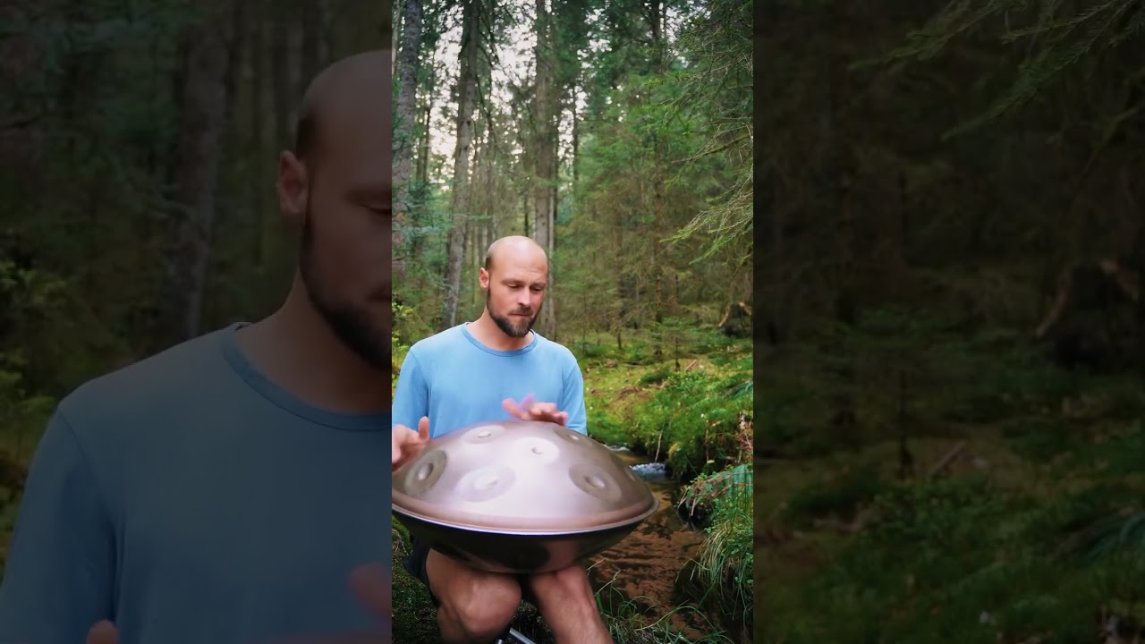 Tuning in for one of my sessions in the woods ✨