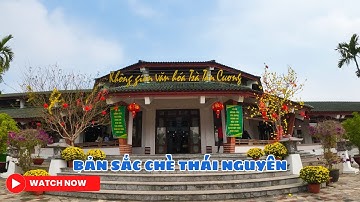 Khám Phá Không Gian Văn Hóa Trà Tân Cương, Thái Nguyên Có Gì?