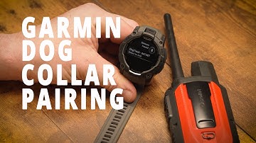 Pair Your Garmin Watch To Track Your Dog In Minutes