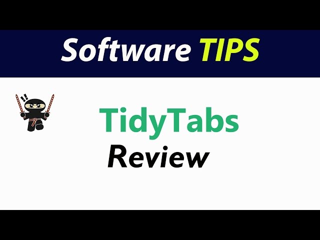 Video TidyTabs Professional - tabs for windows v.1.22.0