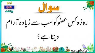 Gk Question Gk In Hindi Urdu Islamic Question And Answer Urdu Quiz Point