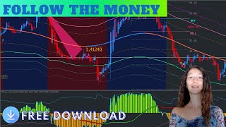 Follow the Money screenshot 2