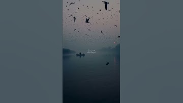 قل لو كان معهُ ءالهة كما يقولون || تلاوة هادئة 🤍 ."