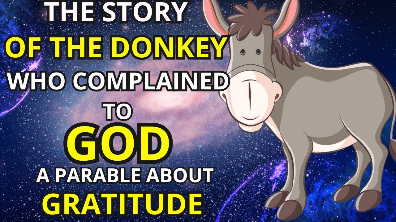 The POWERFUL LESSON of the DONKEY Who COMPLAINED to GOD: DISCOVER the ...