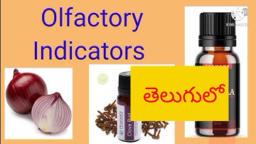 Olfactory Indicators, Acids Bases and salt. ( Telugu n English) 10th Physics.