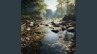 Flowing Focus of the River