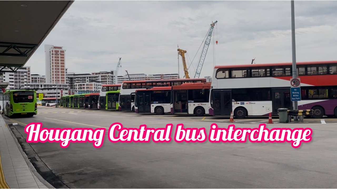 Hougang Central bus interchange|| the way to Hougang MRT Station| Tuoi Singapore 