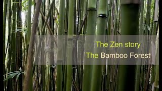 Full The Bamboo Forest (Zen Story) Update