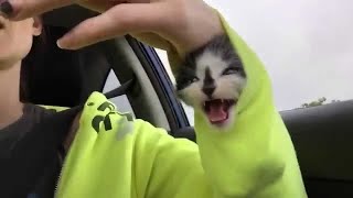 UNUSUAL MEMES COMPILATION V5
