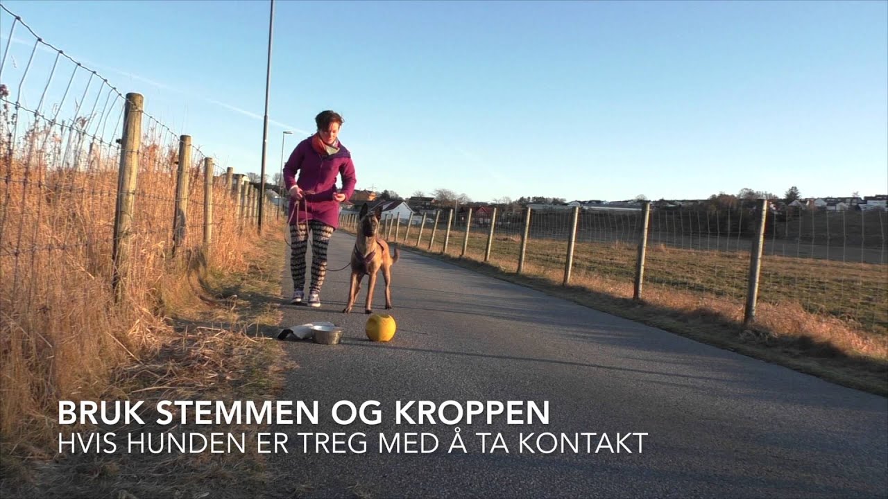 Passering Phoenix 7mnd