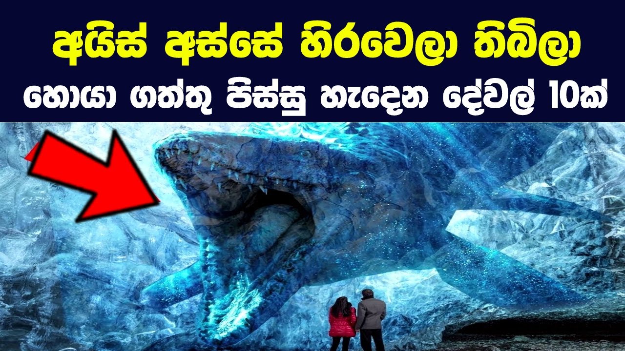 අයිස් අස්සේ හිරවෙලා තිබිලා හොයා ගත්තු පිස්සු හැදෙන දේවල් 10ක් |10 Amazing Things Found Frozen in Ice