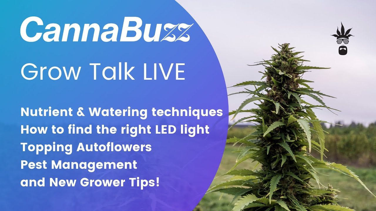 Beginner & Advanced Grower Tips - Grow Talk LIVE -