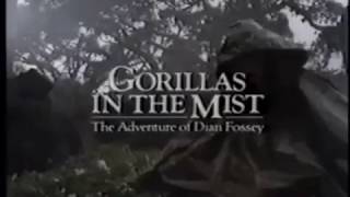 Gorillas In The Mist Tv Spot 1988 Windowboxed