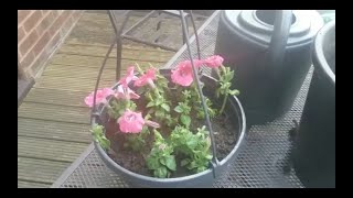 Forest School Hanging Baskets